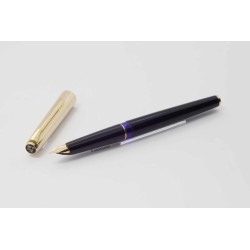 Pelikan P30 Doublè Pinstripe guilloche 14C OM around 1974 Pistonfiller boxed