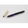 Pelikan P30 Doublè Pinstripe guilloche 14C OM around 1974 Pistonfiller boxed