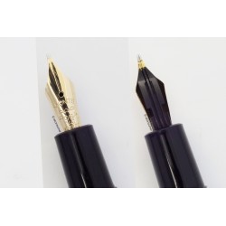 Montblanc Monte Rosa 042G Piston-filler 14C flex M Gold-nib 1958 Vintage