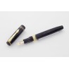 Soennecken 412 Celluloid Piston-filler w/ Click-mechanism flex 14K M Gold-nib Vintage
