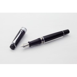 Aurora Optima Resin Piston-filler Black 14K F Gold-nib